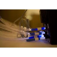 mands_2557.jpg